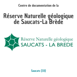 Infos Réserve Naturelle Saucats-La Brède